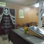 מקיף גרוס