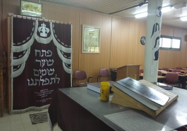 דבר המנהלת